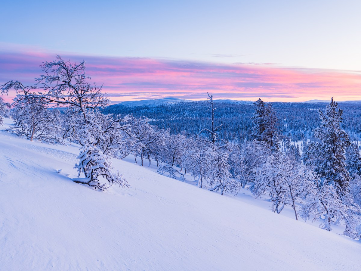 Life, Liberty, and the Pursuit of&nbsp;Happiness